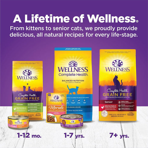 Wellness Complete Health Grain-Free Wet Canned Kitten Food, Real Meat, Whitefish & Chicken Bundle, 12 Cans