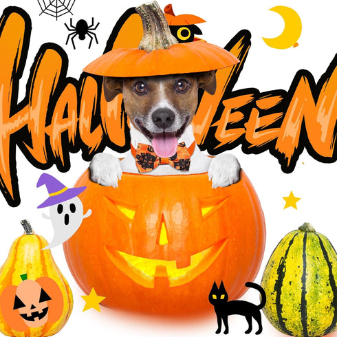 120 Pcs Halloween Dog Bow Tie Collar Set, Includes 60 Pumpkin Bow Ties, 30 Dog Neckties, 30 Large Bow Tie Collars, Pet