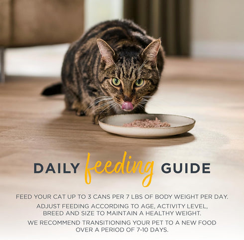 (24 2.47 oz Reveal Entres Natural Wet Cat Food, Grain-Free with Added Vitamins & Minerals, Carrageenan-Free and High
