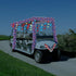 Daifunli 4th 250th of July Patriotic Golf Cart Decorations Kit Anniversary Star String Lights Battery Operated American