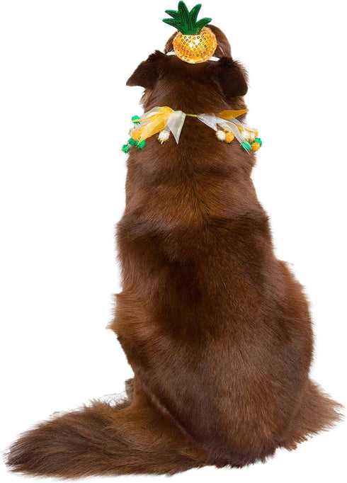 Pet Krewe Pineapple Hat and Collar, Fits Small, Medium, Large, Extra Large Dogs - Perfect for Halloween, Parties, Gifts