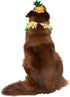 Pet Krewe Pineapple Hat and Collar, Fits Small, Medium, Large, Extra Large Dogs - Perfect for Halloween, Parties, Gifts