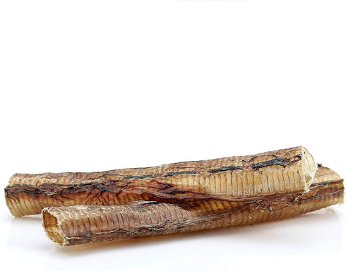ROAM Pet Treats Ossy Trachs Chews Pack of 2 for Medium and Large Dogs – Long Lasting Ostrich Trachea Dog Chews