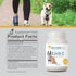 Ayush Herbs Livit-2 Pet Health Supplement, Liver and Gastrointestinal Support, 90 Tablets
