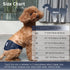 Diapers,5 Pack JoyDaog Reusable Dog Belly Bands for Male Dogs Premium Washable Dog Diapers Male Puppy Nappies Wrap,S