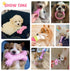 BAEJMJK 6 Pack Puppy Teething Toys, Pink Small Breed Chew Toys with Rope, Soft Rubber Set