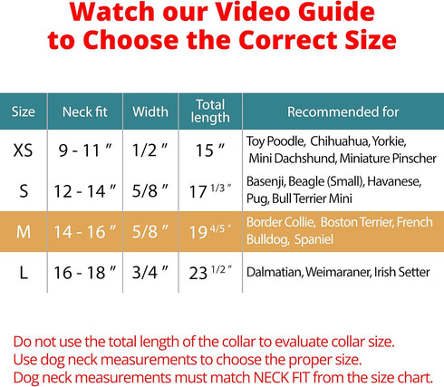 BRONZEDOG Rolled Leather Dog Collar for Small Medium Large Dogs with QR ID Tag (M: 14-16 Inch, Teal)