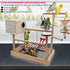 kathson Bird Playground,Parrot Play Stand,Parakeet Play Gym with Breeding Box and Food Cups,Cockatiel Perch Stand