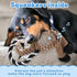 Honoson 9 Pcs Squeaky Plush Dog Toys - Durable Soft Teething Toys for Small Medium Dogs (Cute Animal)