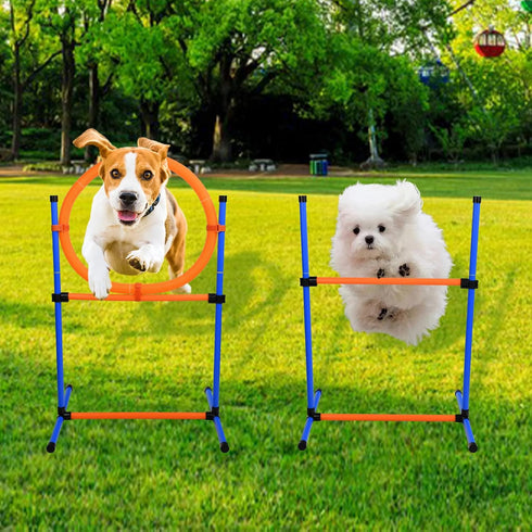 Dog Agility Equipment | 2 in 1 Obstacle Course Training Starter Kit | Adjustable Jump Ring/Hurdle Bar with Carry Bag