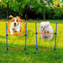 Dog Agility Equipment | 2 in 1 Obstacle Course Training Starter Kit | Adjustable Jump Ring/Hurdle Bar with Carry Bag