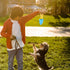 Summer 6.89 Inch Milisten Freezable Dog Chew Toy Bone Shape Cooling Teether Interactive Play Durable TPR Material