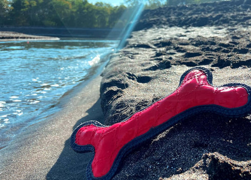 SuperChewy Tough Floating Dog Water Toy, Strong Natural Rubber, Great Fetch Toy for Puppy, Durable Training Toy