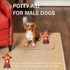 NPBIYOYG 4.3" 9.4" Potty Training Dog Fire Hydrant, W x H Small Fire Hydrant for Puppy to Pee On, Retro Resin Pee Post