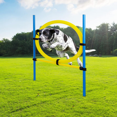 Dog Agility Training Equipment, Obstacle Course Jumper Ring, Height Adjustable Portable Tool for Backyard Exercise