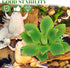 Cabilock Artificial Plants for Reptile Terrarium Dcor, Spider Box with Faux Flame Rose Plant, Lifelike Reptile Habitat