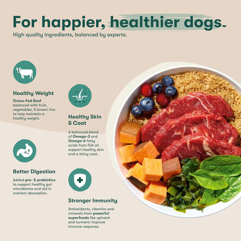 Immune 11.5lb Jinx Premium Dry Dog Food, for All Lifestages - Real Beef, Brown Rice & Sweet Potato Kibble