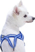 Blueberry Pet 3M Reflective Jacquard Padded Dog Harness, 21.5" - 27.5" Chest Girth, Palace Blue, S/M