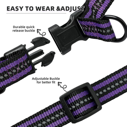Mile High Life Night Reflective Double Adjustable Band Nylon Dog Combo Collar Leash and Harness Set, Purple, Large