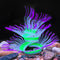 Soft Silica Gel Aquarium Decorations Glow in The Dark, Glowing Coral Ornaments for Fish Tank (Purple, Anemone)