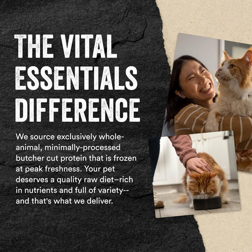Vital Essentials Freeze Dried Raw Cat Food, Duck Mini Nibs Entree - 8 oz