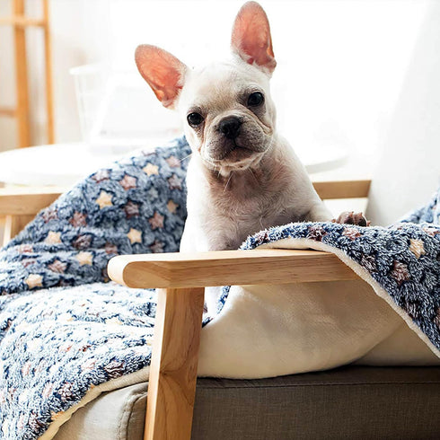 FJWYSANGU Pet Blanket, Premium Fluffy Flannel Cushion, Soft and Warm Mat for Dogs, Small Size, Yellow Stars