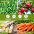 Chinchilla (60PCS) Chew Treat Rabbit Toys for Teeth Health, Natural Bunny Enrichment Toys for Boredom & Stress Relief