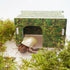 Begeterday Hideout5.1 3.5 3.1 inch Hermit Crab Accessories, Naturally Green Hermit Crab x x