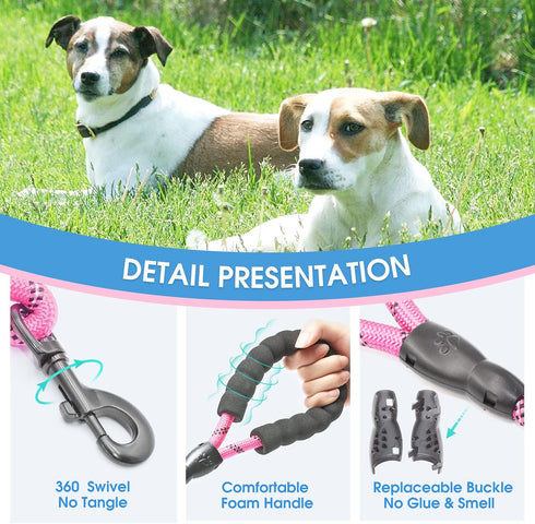 BAAPET 2/4/5/6 FT Dog Leash with Comfortable Padded Handle and Reflective Threads for Small Medium Large Dogs, Pink