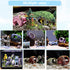 1pcs Aquarium Decorations, Resin Broken Barrel Fish Tank Ornament for Fish Cave Hide Hut (Black)