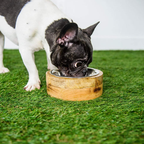 Brave Bark GF Pet Mango Wood Dog Bowl - Removable Stainless Steel Inserts, Stylish Design for Pets (SMALL)