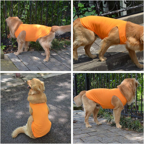 2018 Pet Clothes Dog T-Shirt Tanks Vests for Small Medium Large Dogs, 100% Cotton Summer Vest, Classic (L, Orange)