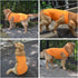 2018 Pet Clothes Dog T-Shirt Tanks Vests for Small Medium Large Dogs, 100% Cotton Summer Vest, Classic (L, Orange)