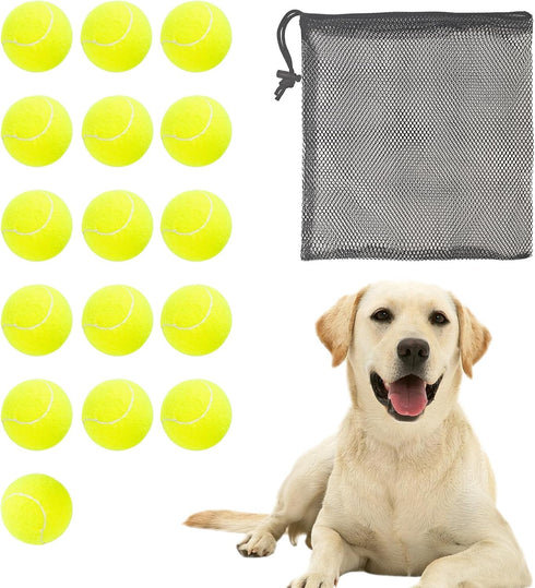 BESTHLS 16 Pack Pet Ball for Dog Small 2inch Tennis Balls for Tiny Small Dogs, Fetching Exercise & Training