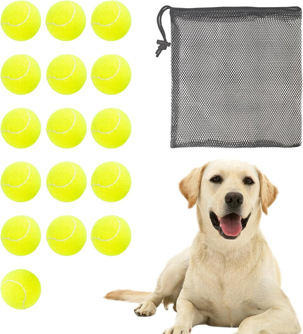 BESTHLS 16 Pack Pet Ball for Dog Small 2inch Tennis Balls for Tiny Small Dogs, Fetching Exercise & Training