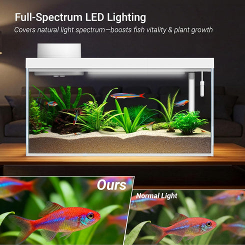 1.3 Gal Glass Desktop Fish Tank Kit with Bluetooth App Control - Automatic Feeder, RGB Lighting, Temperature Monitor