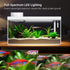1.3 Gal Glass Desktop Fish Tank Kit with Bluetooth App Control - Automatic Feeder, RGB Lighting, Temperature Monitor