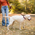 Wisedog Dog Collar and Leash Set Combo, Adjustable Pet Collars with Leashes for Small Medium Large Dogs