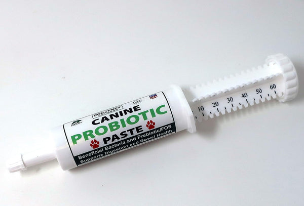 Dogzymes Canine Probiotic Paste, Beneficial Bacteria-Enzyme 2.3 Billion CFU/gm Saccharomyces boulardii Organic Dried
