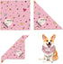 BANMODER Dog Birthday Bandana and Hat - Multi Size Square Scarf, Party Supplies for Large X-Large Dogs