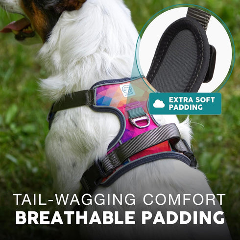 Embark Urban Dog Harness - No-Pull Reflective Trim for Small, Medium & Large Dogs, Heavy Duty Oxford, 2 Leash Clips &