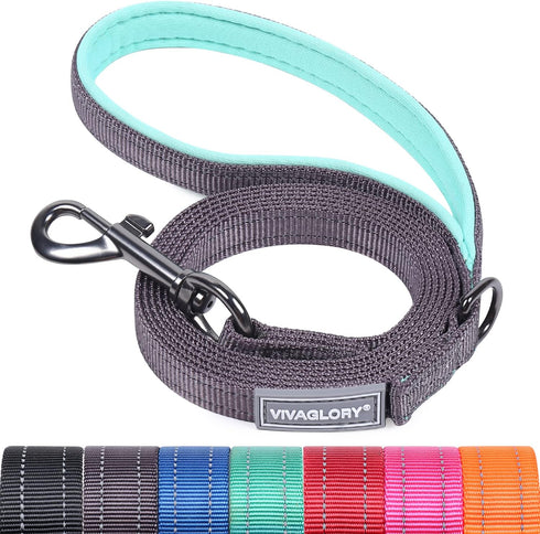 VIVAGLORY Dailyx Dog Leash, Heavy Duty Puppy Leash for Training & Walking, 5ft x 1/2in, Grey