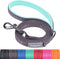 VIVAGLORY Dailyx Dog Leash, Heavy Duty Puppy Leash for Training & Walking, 5ft x 1/2in, Grey