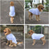 Lovelonglong Basic Blank T-Shirt for Large Dogs, White Dog Costumes Tee Shirts XXXXL