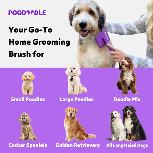 Dog Slicker Brush, Best for Poodles, Doodles, Long Haired Dogs, Perfect for Dematting & Detangling, Large