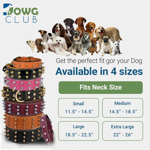 Genuine Leather Spike Dog Collar, Heavy Duty, Full Grain, 2" Wide, Brown with Gold Spikes (L, 18.5"-22.5")