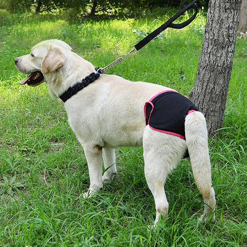 TOPINCN Dog Underwear Flexible Physiological Pants Puppy Female Pet Sanitary Diaper for Small Medium Large Dogs(XS