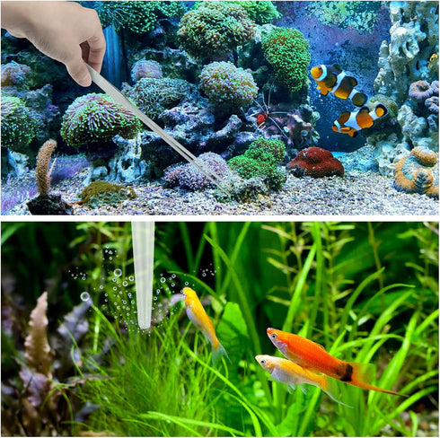 Fish Tank Cleaning Tools, 6 pcs Aquarium Feeder Tools Kit, Algae Scraper for Glass Aquariums