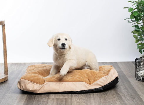 Modern Threads Luxury Dog Bed, Orthopedic Memory Foam Pillow Bed for Small to Large Dogs, Machine Washable, Linen Beige