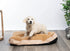 Modern Threads Luxury Dog Bed, Orthopedic Memory Foam Pillow Bed for Small to Large Dogs, Machine Washable, Linen Beige